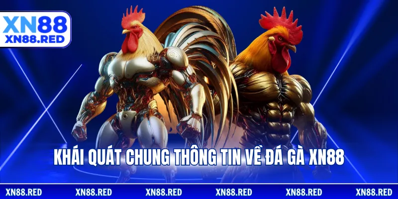 Khái quát chung thông tin về đá gà XN88