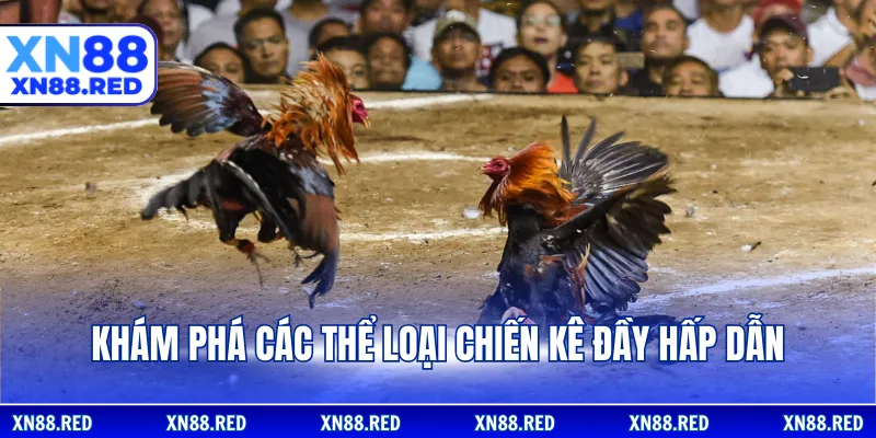 Khám phá các thể loại chiến kê đầy hấp dẫn